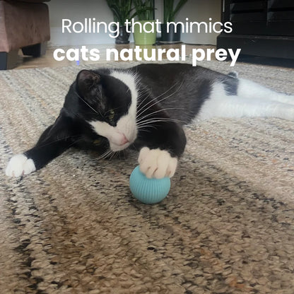 PawsPlay™ The Original Rolling Smart Ball