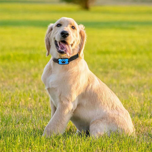 PuppyCherish™ /Anti-Bark Collar