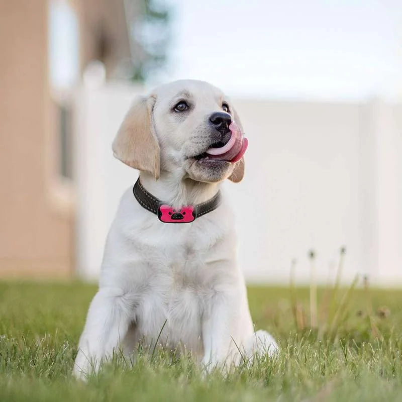 PuppyCherish™ /Anti-Bark Collar